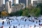 A color landscape photo of the ice skaters at Wollman Rink in motion, Central Park, New York City. Framed fine art prints of this photo are available up to 60 inches in width. 