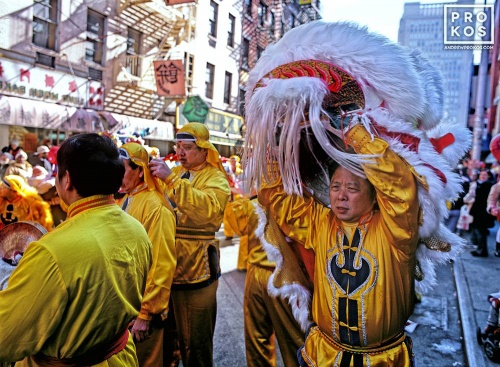 Man in a Lion costume during Lunar New Year, Chinatown, New York City