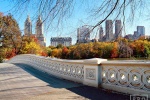 A high-definition landscape photo of Central Park's Bow Bridge in Autumn, New York City