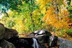 A high-definition landscape photo of a waterfall surrounded by colorful Autumn foliage at the Loch in Central Park, New York City