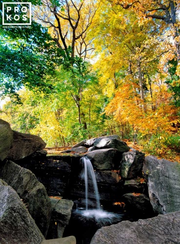 A high-definition landscape photo of a waterfall surrounded by colorful Autumn foliage at the Loch in Central Park, New York City
