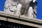 An architectural detail of an American Eagle statue found on the Arlington Memorial Bridge in Washinton DC. Framed fine art prints of this photo are available in various sizes. 