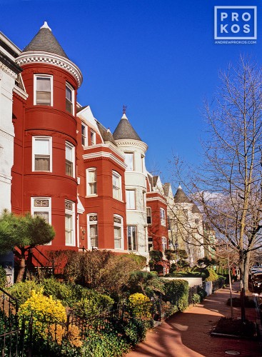 An architectural photo of the historic row houses along P Street in Georgetown, Washington DC