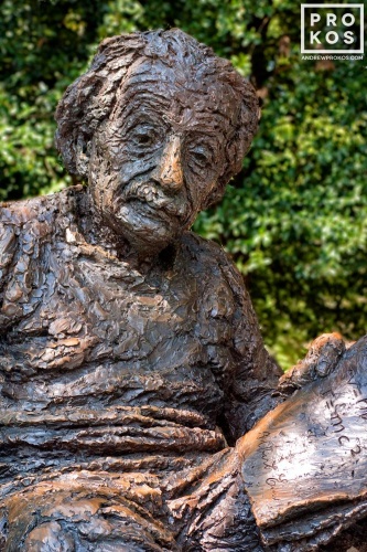 EINSTEIN STATUE VT PX