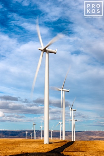A landscape photo of a row of wind turbines in motion at the Biglow Canyon, Oregon wind farm