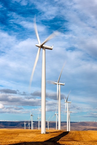 Wind turbines in Oregon's Biglow Cayon wind farm