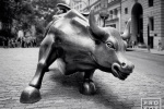 A black and white fine art photo of the famous charging bull statue in New York's Financial District