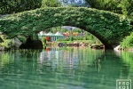 A landscape photo of Central Park's Gapstow Bridge in the summer, New York City