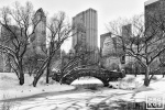 Black and white landscape photography of Central Park's Gapstow Bridge and the Pond in Winter, New York City. Framed fine art prints of this photo are available up to 60 inches in width. 