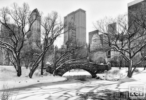 Black and white landscape photography of Central Park's Gapstow Bridge and the Pond in Winter, New York City. Framed fine art prints of this photo are available up to 60 inches in width. 