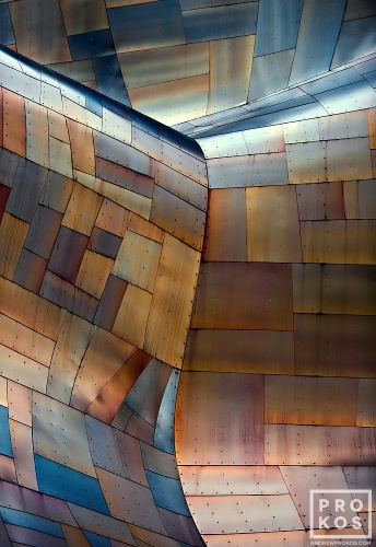 A fine art architectural photo from Andrew's award-winning series Gehry's Children.