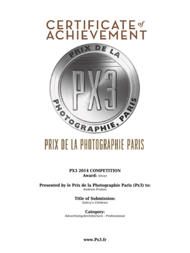 GEHRYS-CHILDREN-Px3-SILVER-AWARD-2014