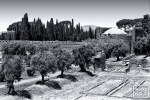A black and white landscape photo from Hadrian's Villa near Tivoli, Italy