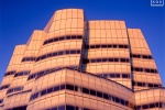 A fine art architectural photograph of the IAC Building by architect Frank Gehry in New York City bathed in the rosy glow of late sunset. Limited edition prints of this photo are available framed in various styles, please inquire.