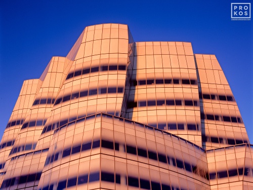A fine art architectural photograph of the IAC Building by architect Frank Gehry in New York City bathed in the rosy glow of late sunset. Limited edition prints of this photo are available framed in various styles, please inquire.