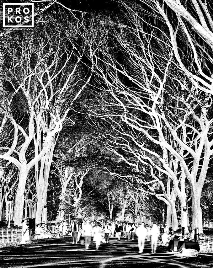 Inverted - Empire State Building Skyline - Fine Art Photography Series