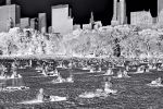 Black and white photograph of New York people in Sheep Meadow, Central Park from the conceptual photography series 'Inverted NYC' by photographer Andrew Prokos