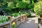 A panoramic landscape photo of the bridge in the Japanese garden at the Brooklyn Botanic Gardens