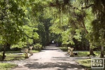A landscape photo from the Jardim Botanico in Rio de Janeiro.