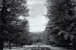 A black and white view of a water nymph statue emerging from a pool in the gardens at La Granja de San Ildefonso, Spain