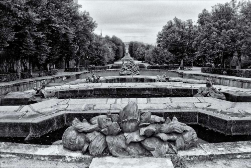 A black and white landscape photo of the fountains in the gardens of the Royal Palace at La Granja de San Ildefonso, Spain