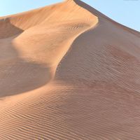 High-definition photo of a high dune from the Liwa desert in the Arabian peninsula, Abu Dhabi, UAE. Large-format prints of this photo are available up to 72 inches.