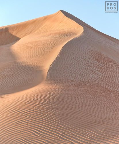 High-definition photo of a high dune from the Liwa desert in the Arabian peninsula, Abu Dhabi, UAE. Large-format prints of this photo are available up to 72 inches.