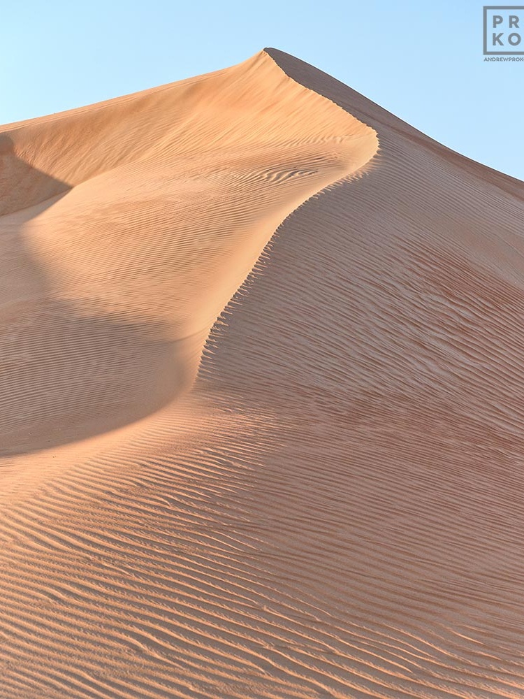 High-definition photo of a high dune from the Liwa desert in the Arabian peninsula, Abu Dhabi, UAE. Large-format prints of this photo are available up to 72 inches.