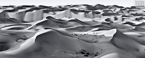 A black and white high-definition landscape of the high dunes of Liwa Desert, in the Arabian peninsula. Large-format prints of this photo are available up to 150 inches in width.