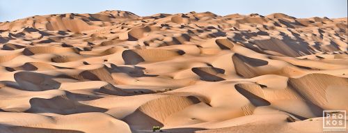 A panoramic landscape photo of the dunes of Liwa Desert in Abu Dhabi, United Arab Emirates. High-definition limited edition prints available up to 150 inches wide.