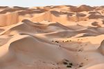 High-definition landscape photography of the dunes of Liwa Desert in Abu Dhabi, United Arab Emirates. High-definition limited edition prints available up to 150 inches.