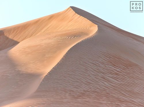 A large-scale fine art photograph of a high dune from the Liwa desert in the Arabian peninsula, Abu Dhabi, UAE. Large-format prints of this photo are available up to 72 inches.