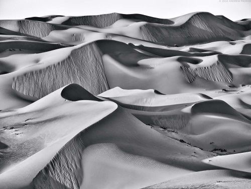 Dunescape #4 - Liwa Desert, Abu Dhabi. Black and white photography by Andrew Prokos