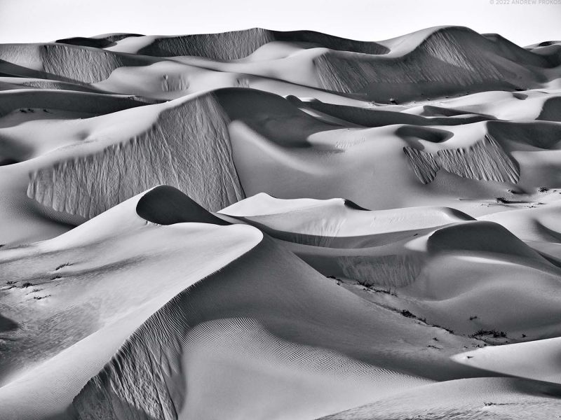 Dunescape #4 - Liwa Desert, Abu Dhabi. Black and white photography by Andrew Prokos