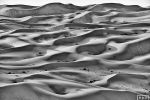 A black and white landscape photograph of the rolling dunes of Liwa Desert, in the Empty Quarter Abu Dhabi, United Arab Emirates. Large-format limited-edition prints of this photo are available up to 90 inches in width