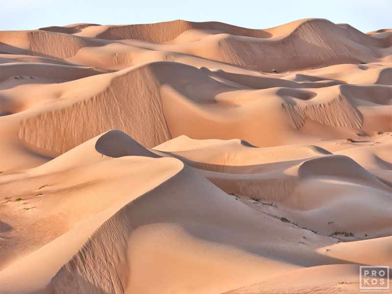 A high-definition landscape of the dunes of Liwa Desert, Abu Dhabi, United Arab Emirates. Large-format prints of this photo are available up to 90 inches in width.
