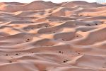 A high-resolution landscape of the dunes of Liwa Desert, Abu Dhabi, United Arab Emirates. Large-format black and white prints of this photo are available up to 90 inches in width.