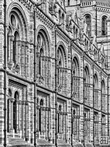 A black and white photograph of the Victorian facade of the Natural History Museum in London, United Kingdom. Limited edition fine art prints of this photo are available up to 80 inches in height and framed in various wood, metal and acrylic styles.