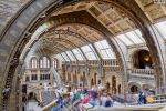 A long-exposure view of Hintze Hall in London's Natural History Museum. The composition incorporates multiple one-minute-long exposures capturing the museum's visitors in motion. Limited edition fine art prints of this photo are available up to 72 inches in width.