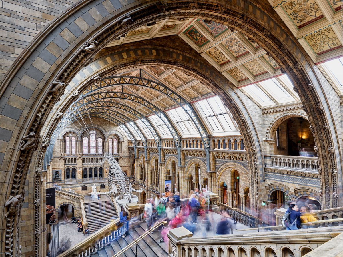 Natural History Museum Interior, London - Long-Exposure Photo - PROKOS