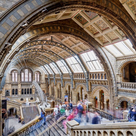A long-exposure view of Hintze Hall in London's Natural History Museum. The composition incorporates multiple one-minute-long exposures capturing the museum's visitors in motion. Limited edition fine art prints of this photo are available up to 72 inches in width.