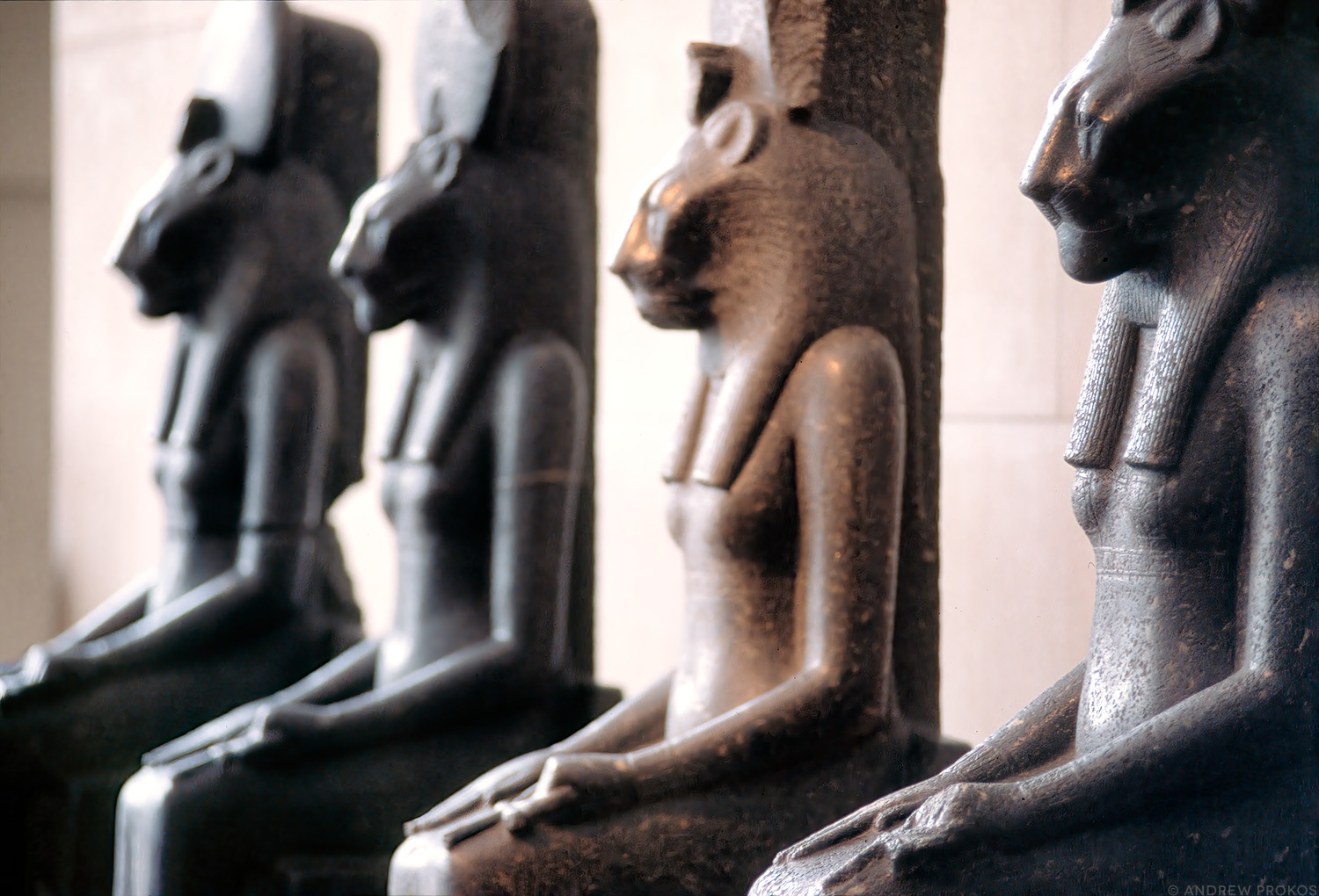 Metropolitan Museum Egyptian Sakhmet Statues - Fine Art Photo - PROKOS Statues of the goddess Sakhmet from the Metropolitan Museum's Egyptian collection, New York City