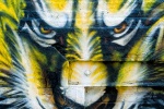 A New York City street mural showing the face of a tiger. Fine art prints of this photo are available framed in various styles. 