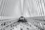 A black and white architectural photo of the interior of the Oculus at World Trade Center Station, New York City. Fine art prints of this photo are available framed in contemporary styles.