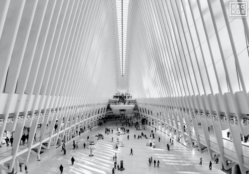 A black and white architectural photo of the interior of the Oculus at World Trade Center Station, New York City. Fine art prints of this photo are available framed in contemporary styles.