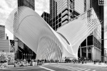 A street level view of the Oculus transit hub in black & white by fine art and architectural photographer Andrew Prokos. Framed fine art prints of this photo are available in sizes up to 72 inches.