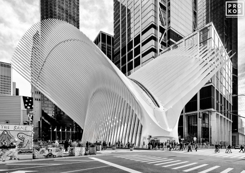 View of the Oculus, NYC - Black & White Architectural Photo - PROKOS