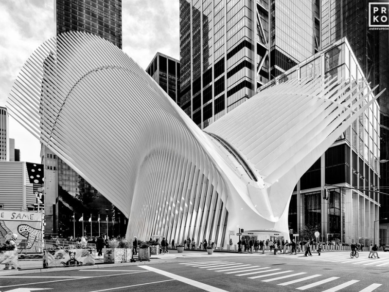 A street level view of the Oculus transit hub in black & white by fine art and architectural photographer Andrew Prokos. Framed fine art prints of this photo are available in sizes up to 72 inches.