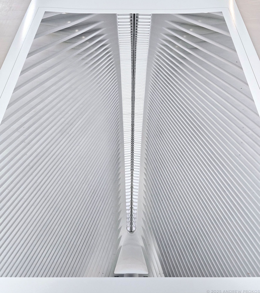 A large-format fine art print of the interior of the Oculus in New York City by Photographer Andrew Prokos