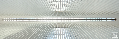 Architectural Photography - A panoramic view of the interior of the Oculus at World Trade Center Station, New York City by architect Santiago Calatrava. Large-scale framed prints of this photo are available up to 120 inches in width. 